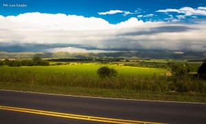 Ruta hacia Lago Los Molinos