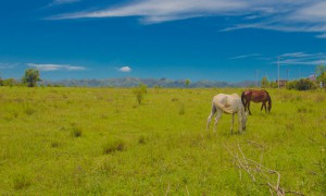 Paisajes Los Reartes